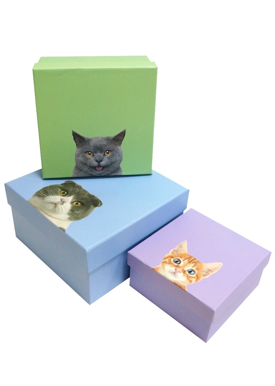 Котенок с подарочной коробкой