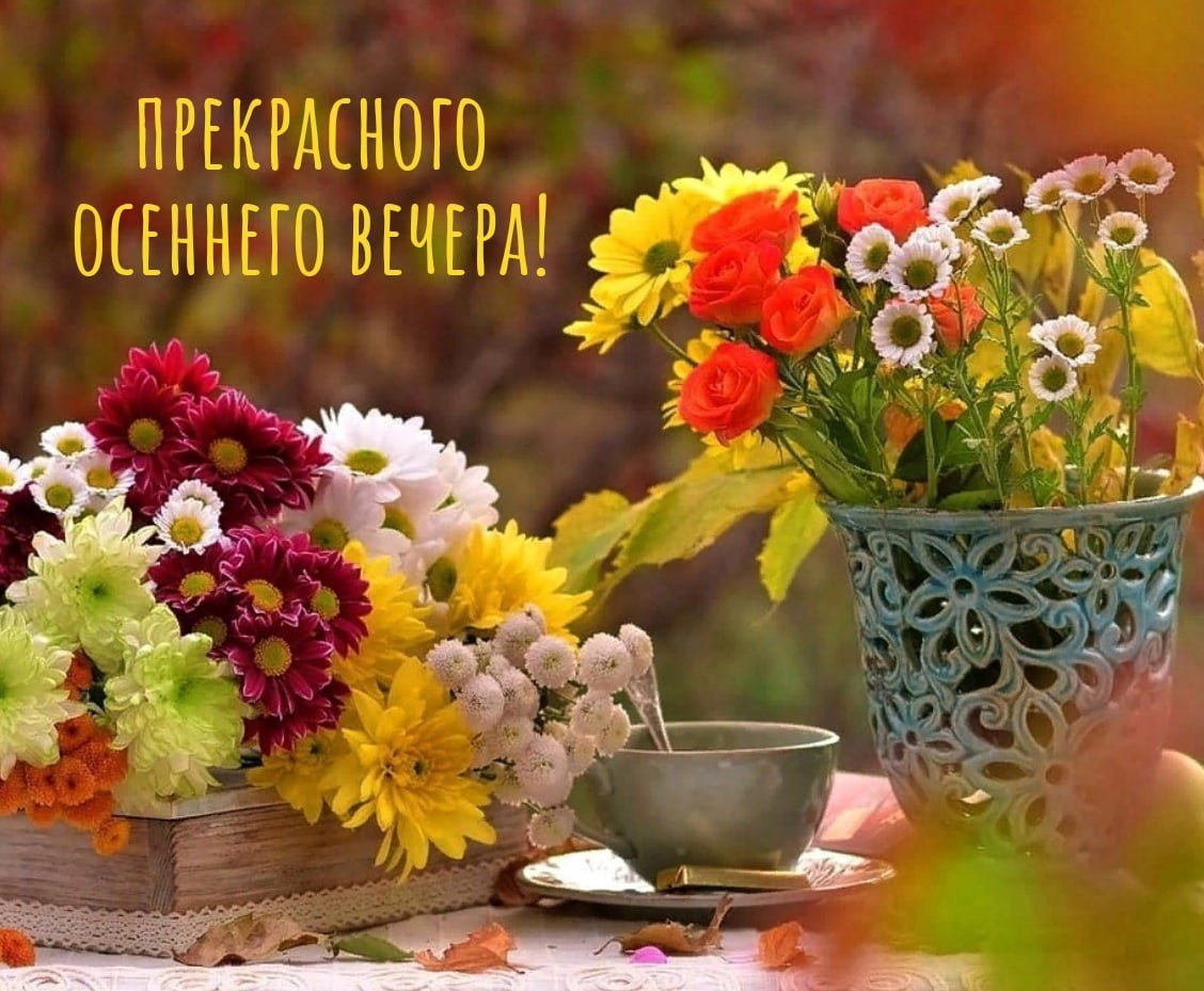 Осенние цветы фото