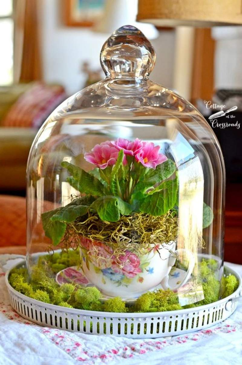 Флорариум с куполом