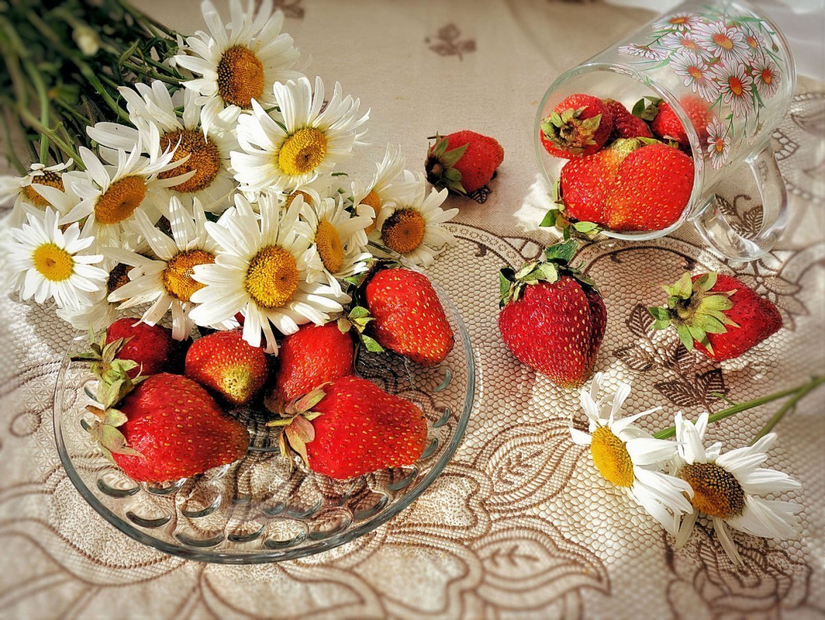 Ромашки и ягоды