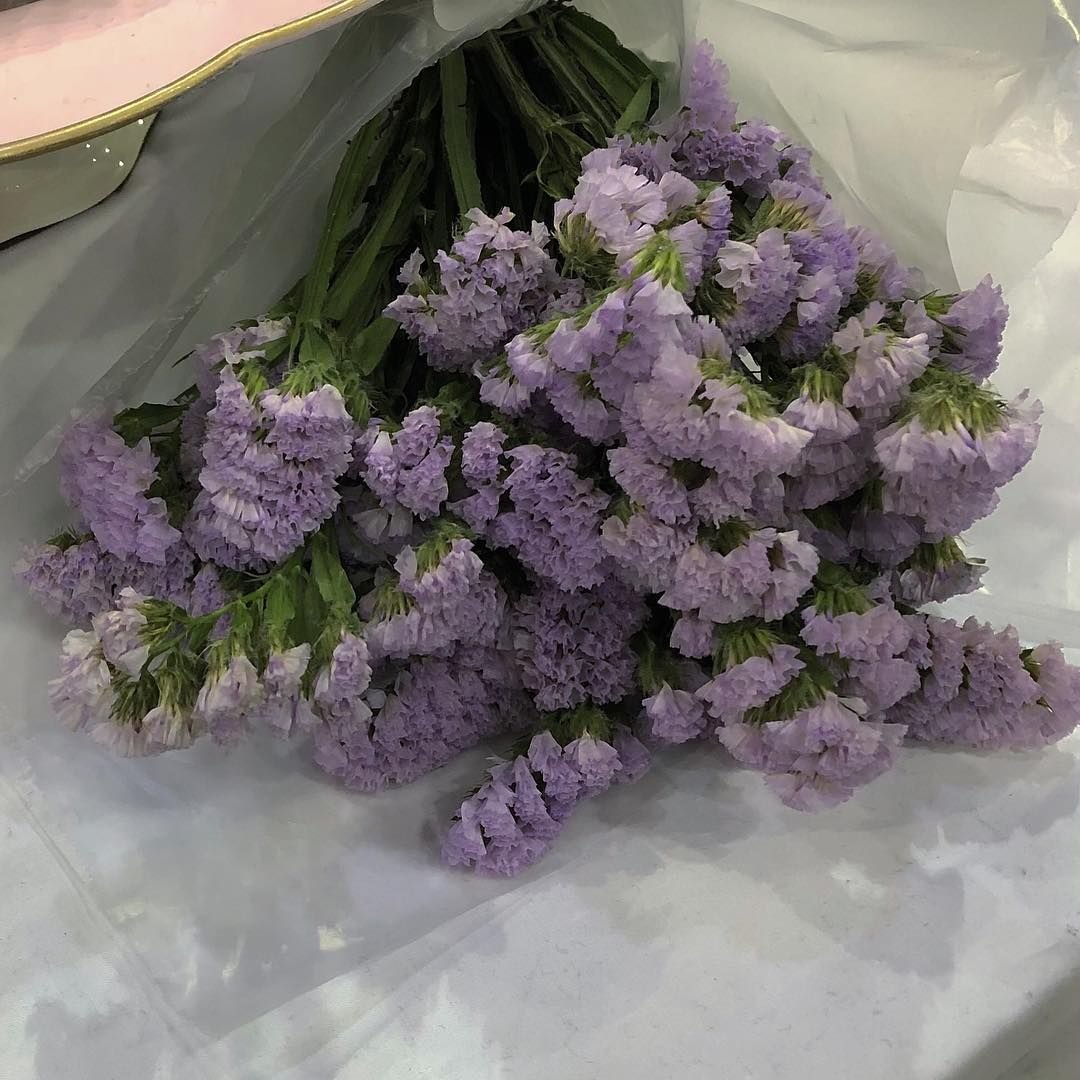 Лаванда aesthetic