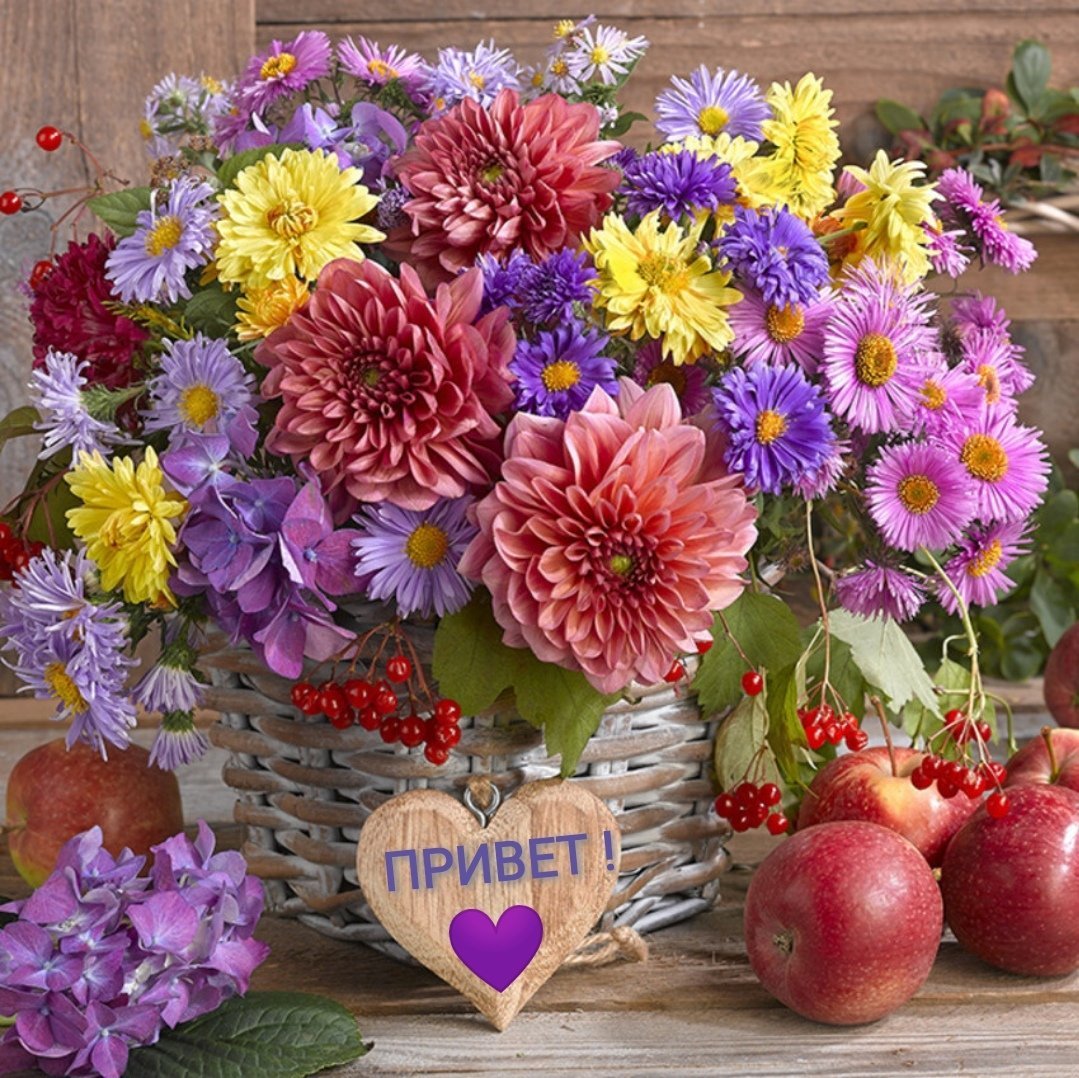 Августовские цветы