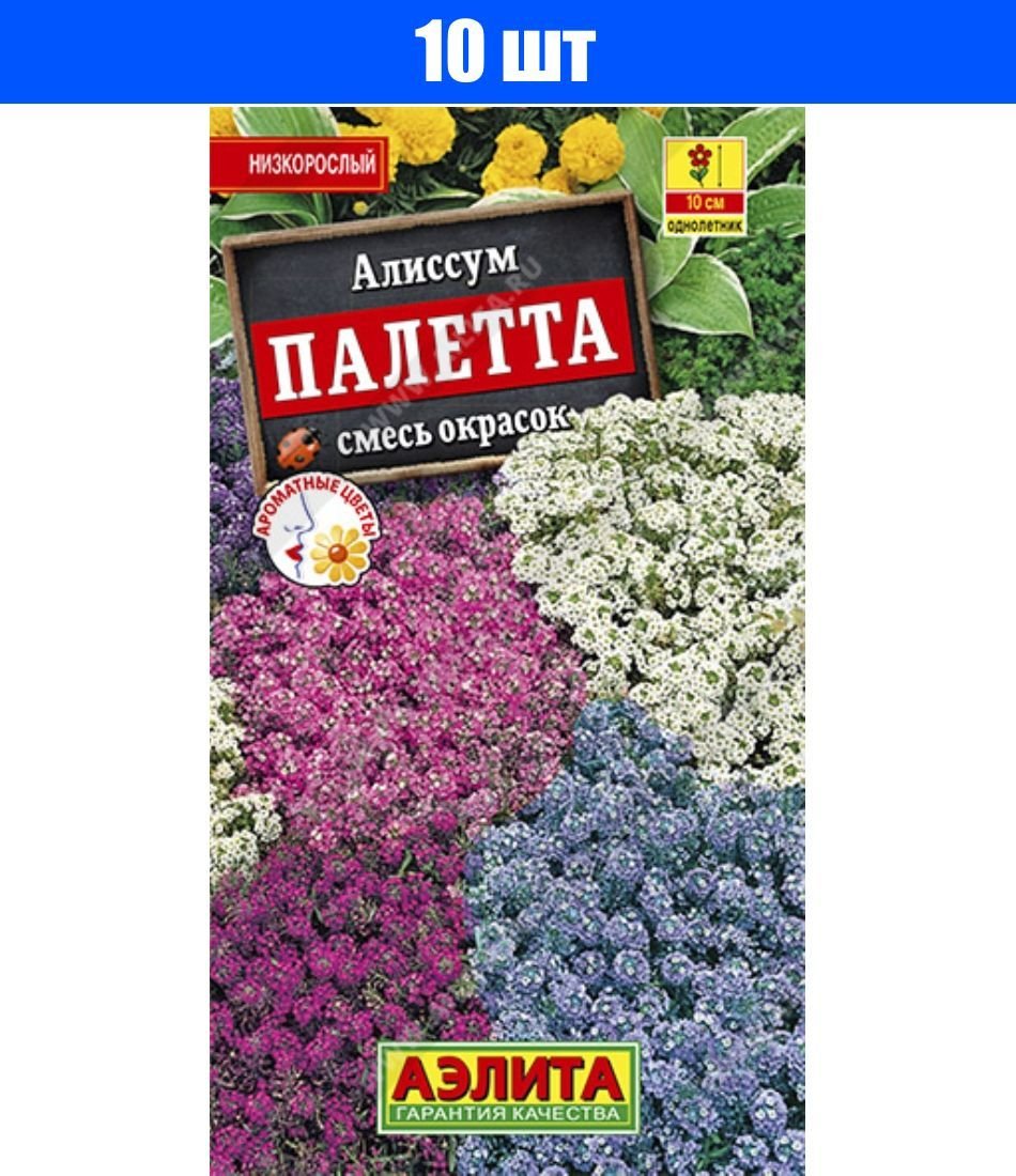 Алиссум Палетта Аэлита