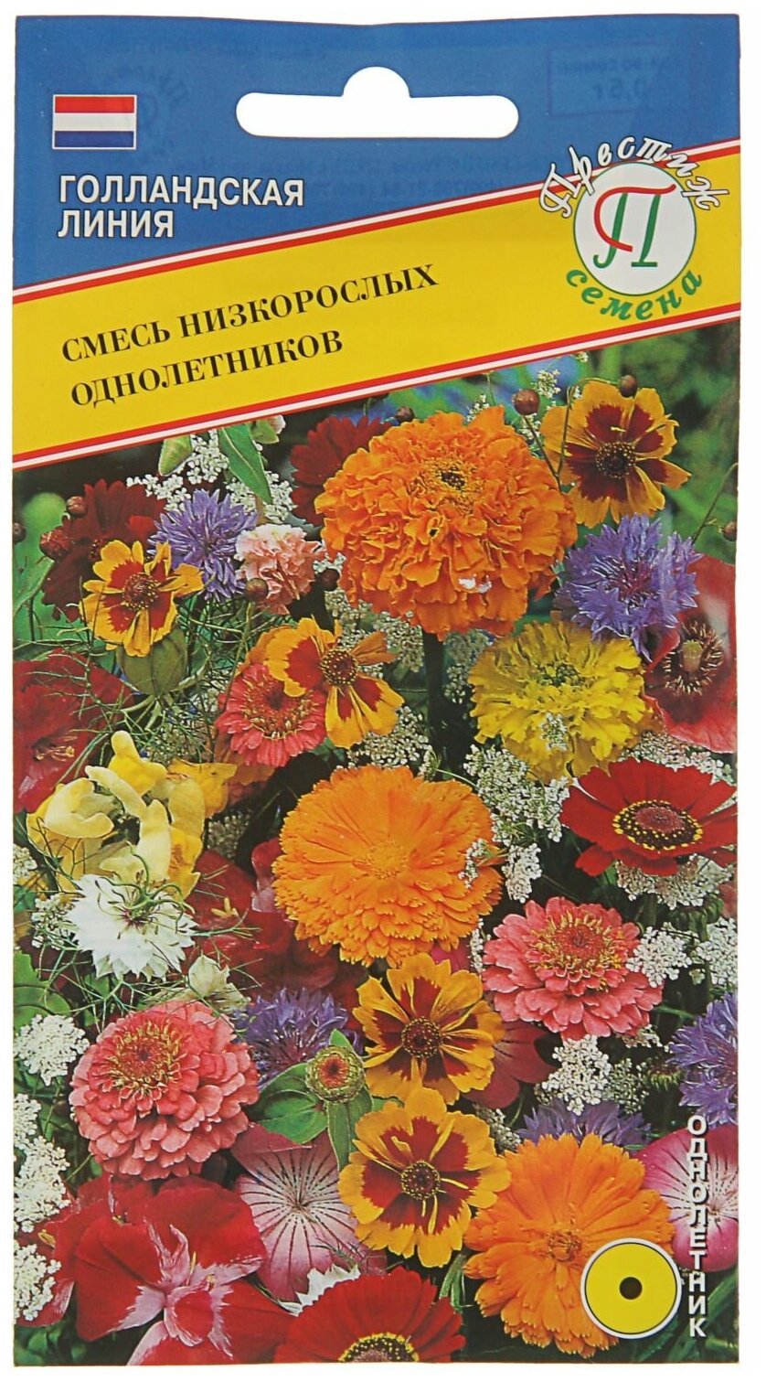 Смесь низкорослых однолетников