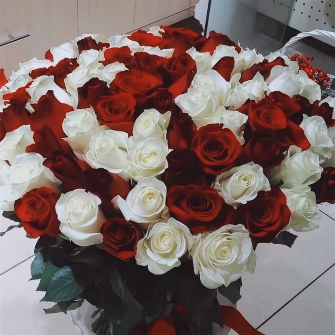 Розы дома