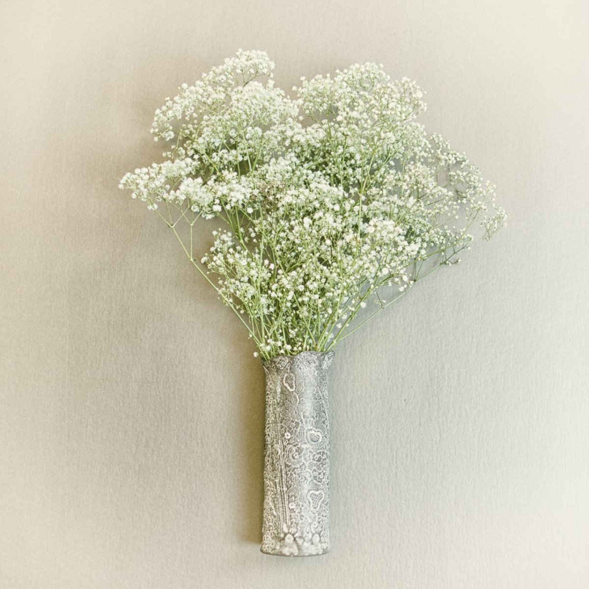 Гипсофила Baby's Breath