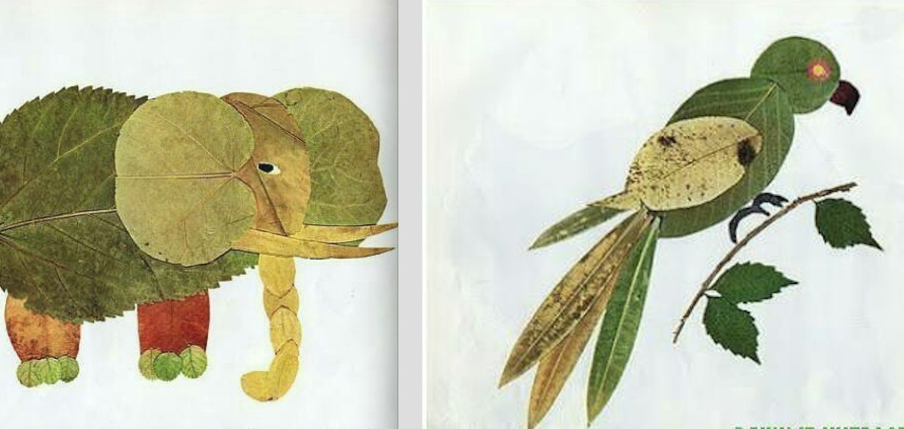 Композиция из сухих листьев 2 класс. Аппликация из листьев. Птица из осенних листьев. Фигурки из листьев. Рыбка из осенних листьев.