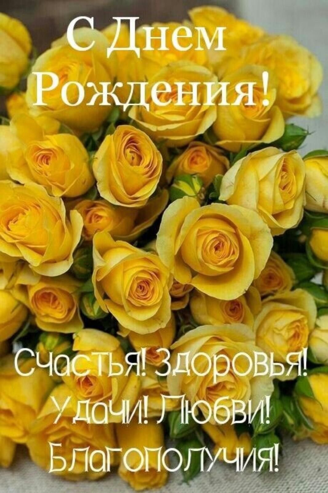 Желтые кустовые розы