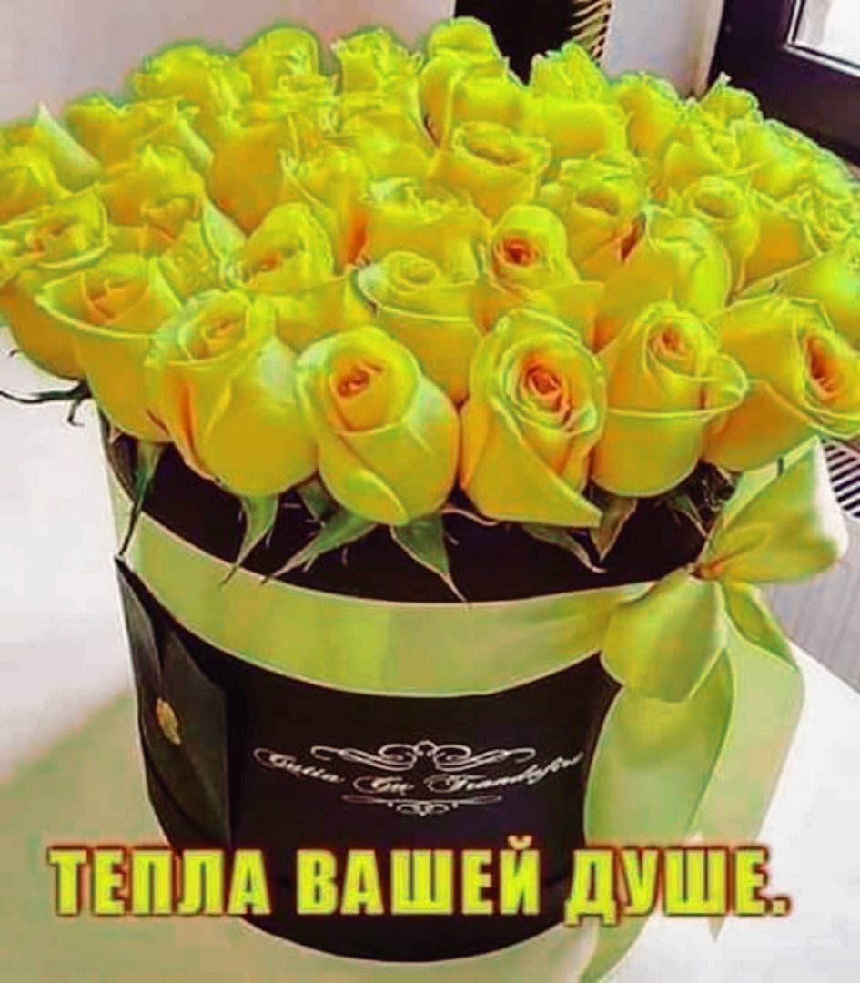 Шикарный букет желтых роз