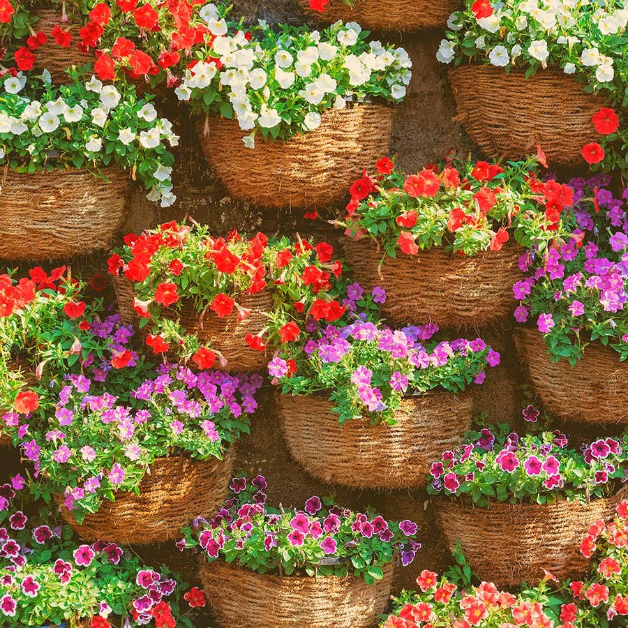 Деревенская клумба с цветами