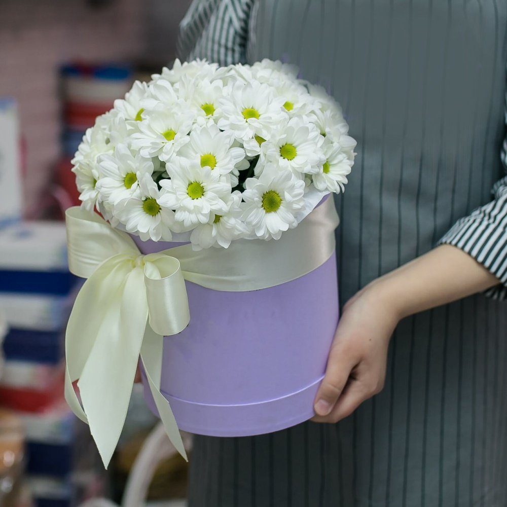 Хризантема кустовая Командор
