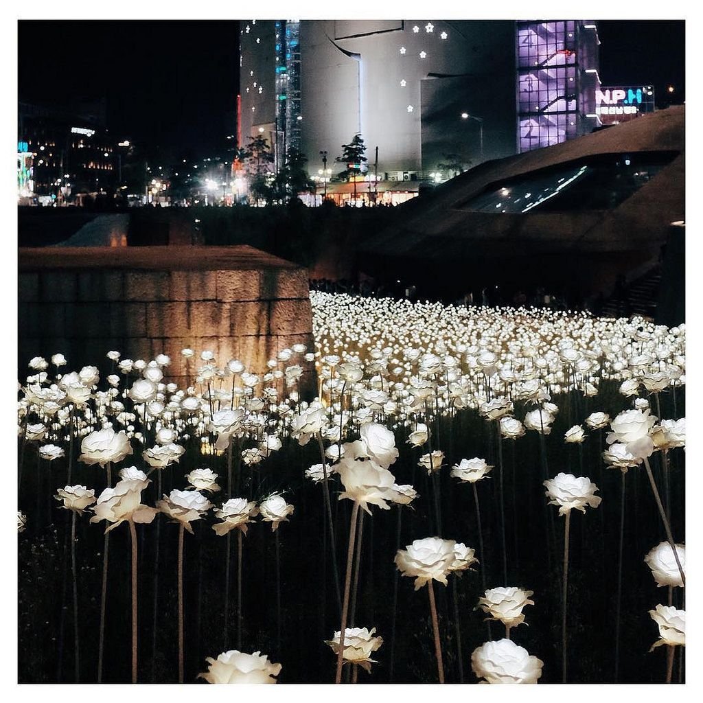 Dongdaemun Design Plaza цветы Сеул