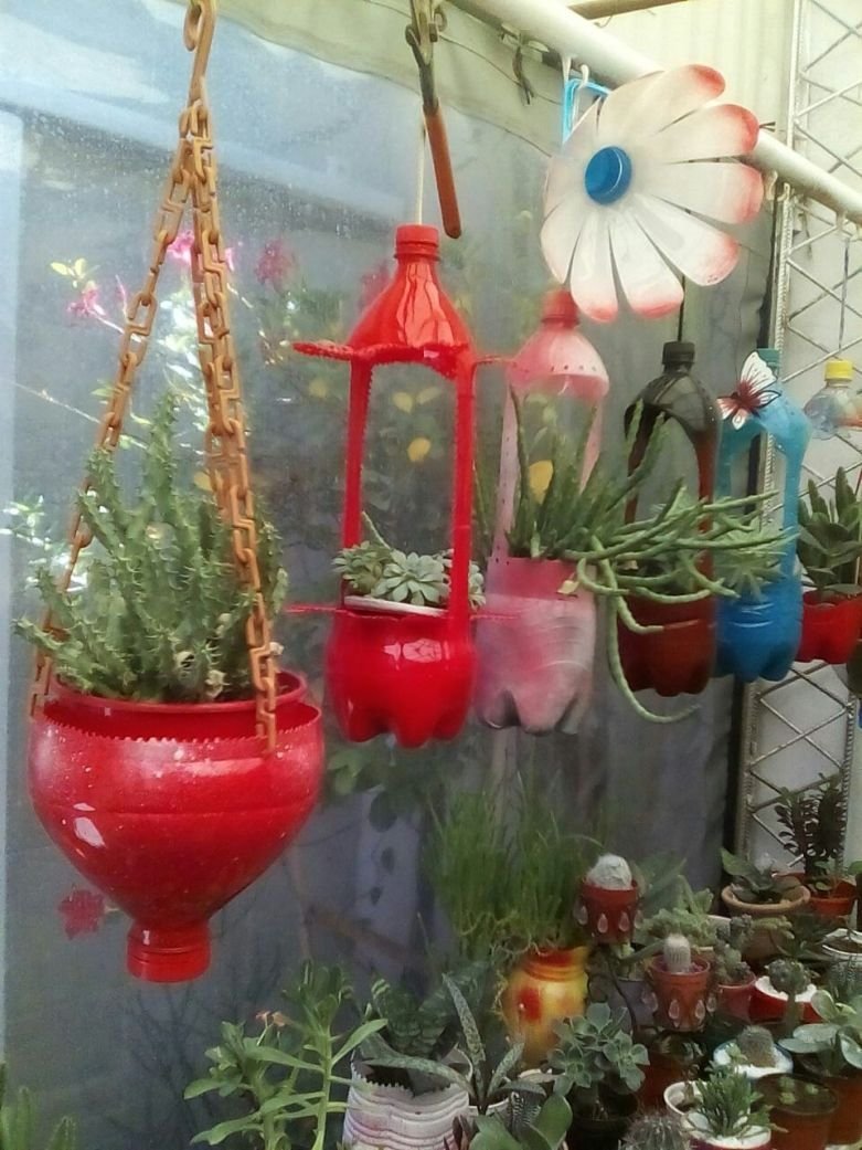 Клумбы из пластиковых бутылок