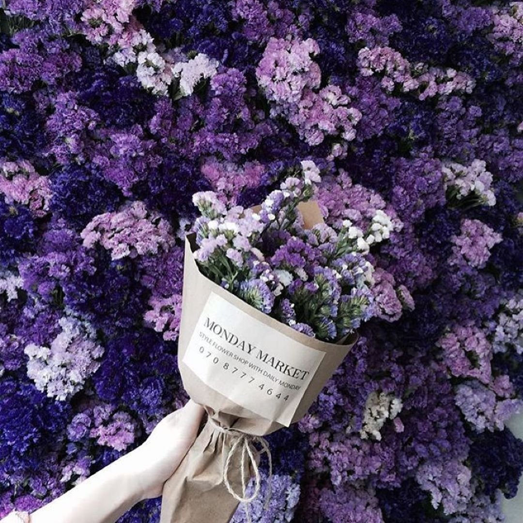 Цветок с фиолетовыми цветами