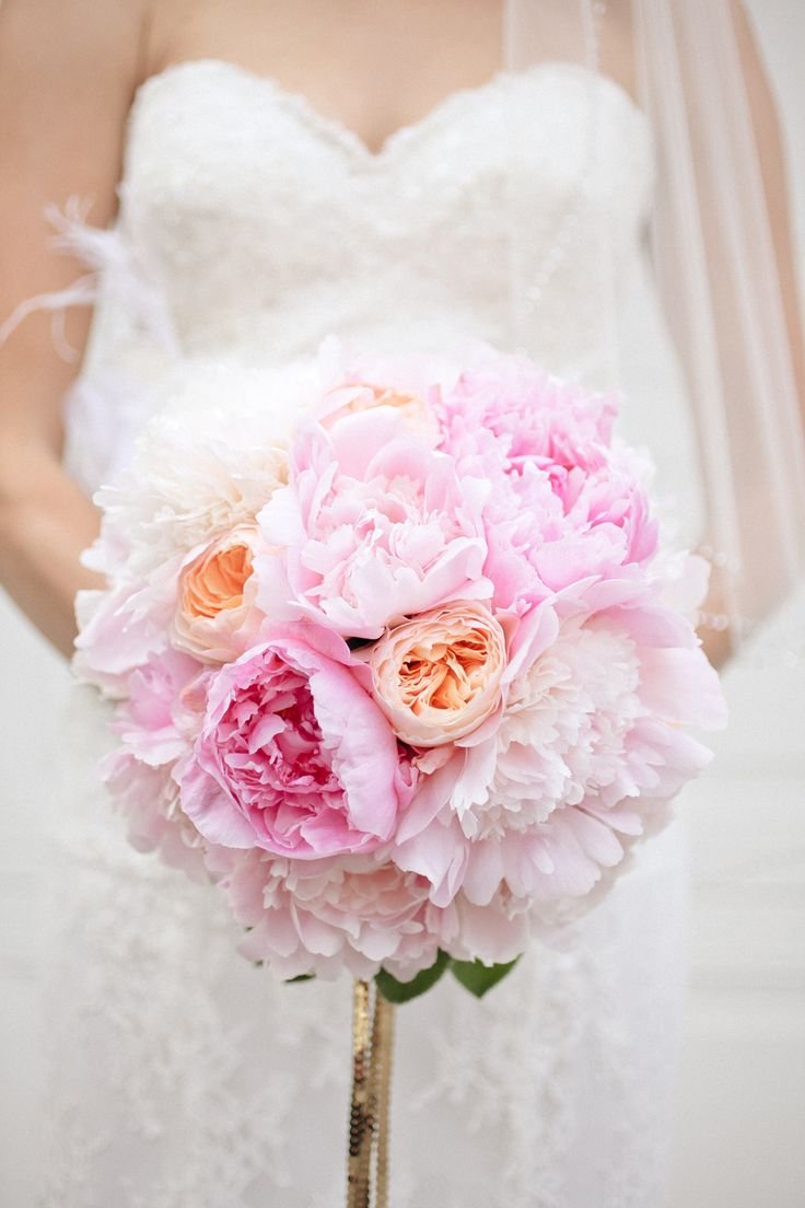 Пионовидная роза Peony Pink
