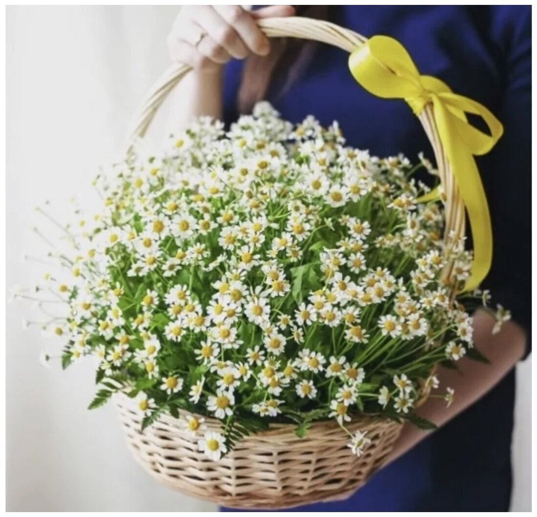 Корзинка с ромашками