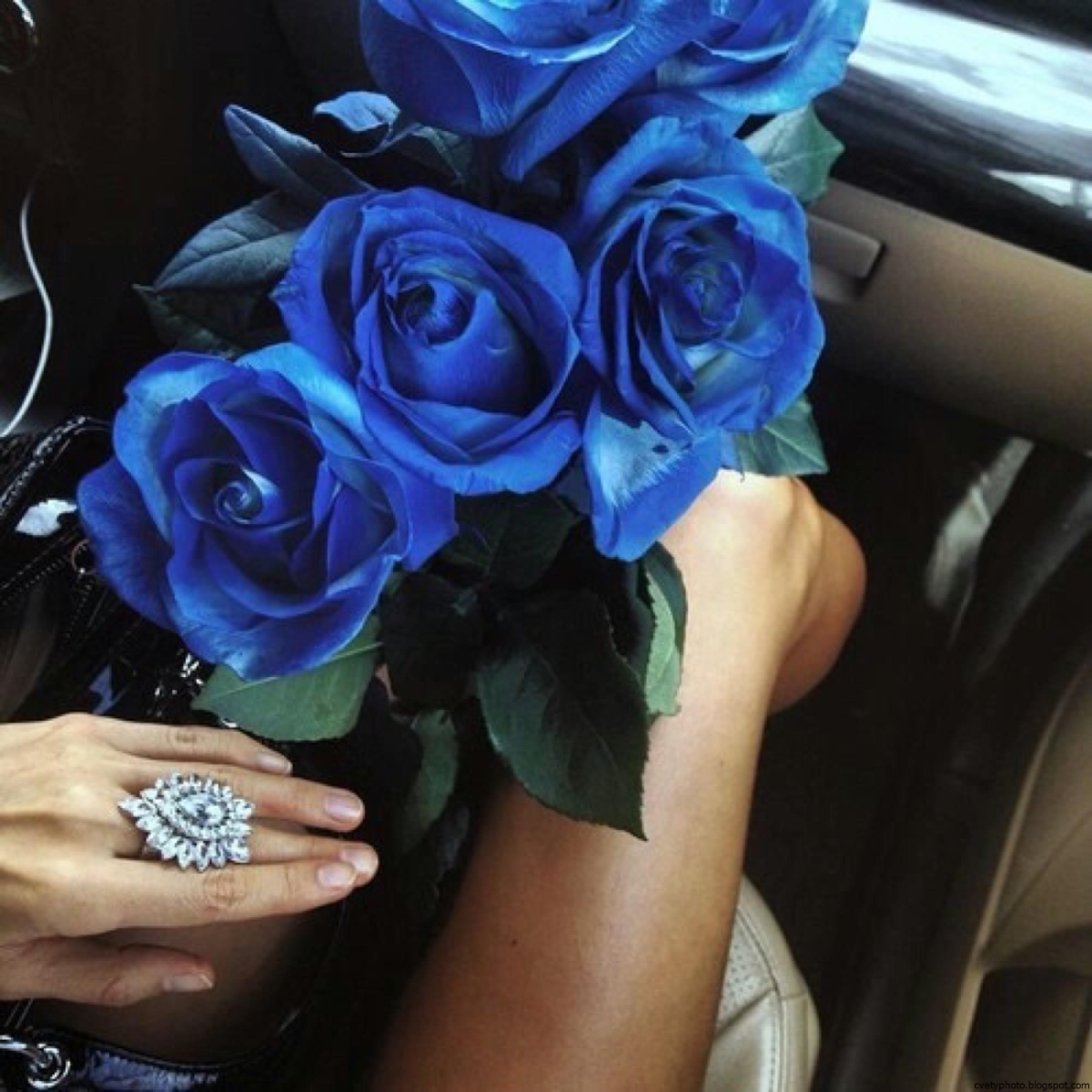 Девушка с синим цветом. Цветы в руках у девушки. Букет в руках у девушки. Девушка с синими розами.