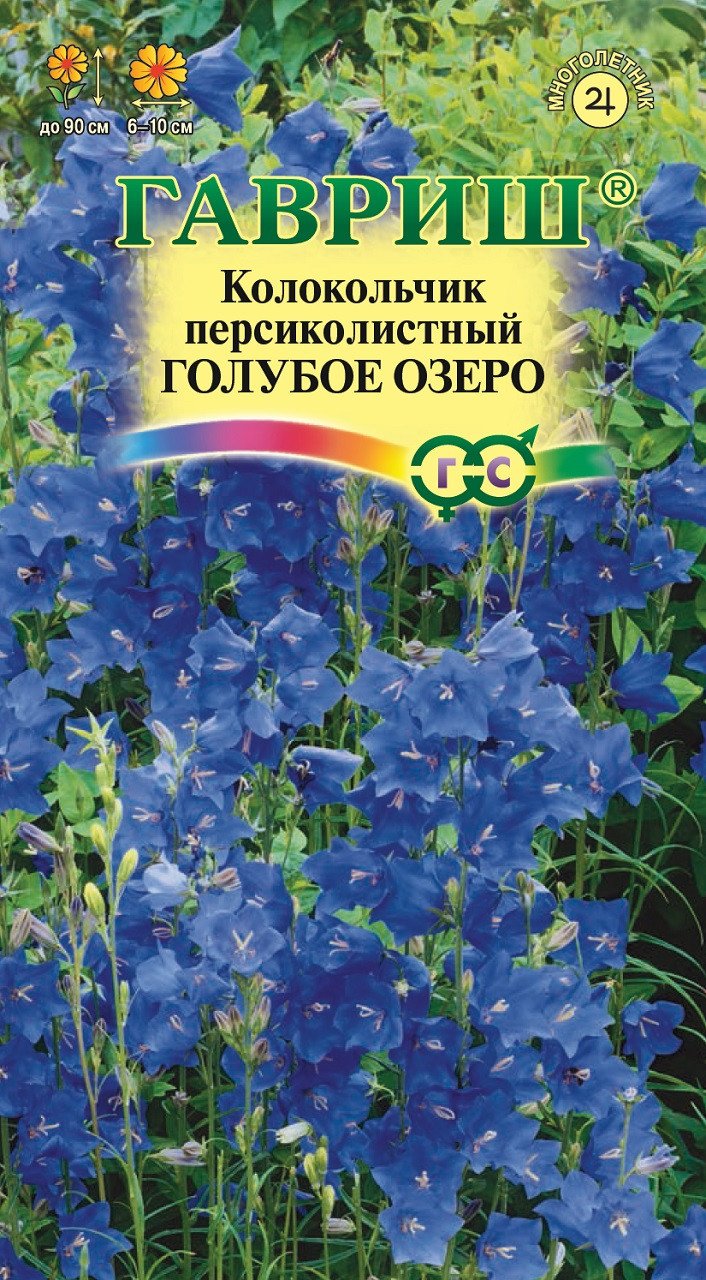 Колокольчик персиколистный семена