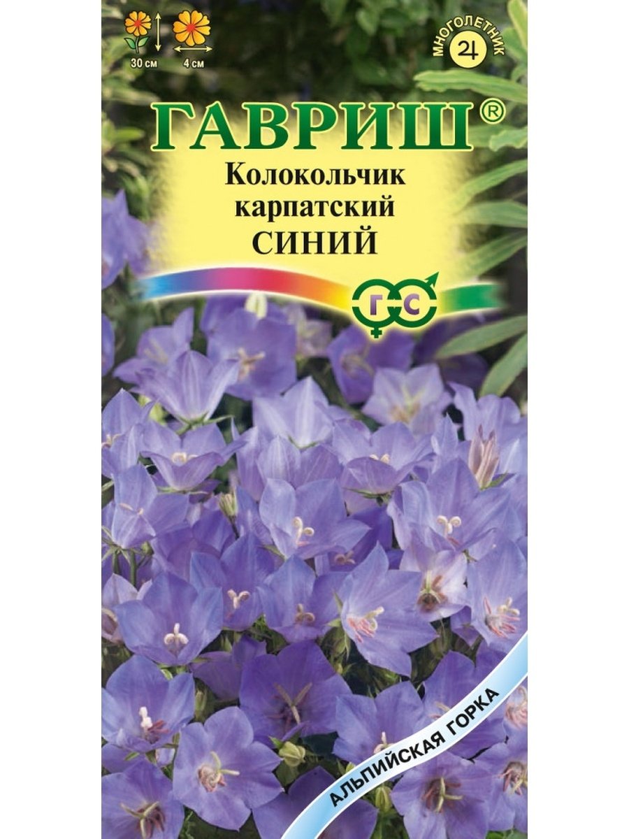 Колокольчик Карпатский семена