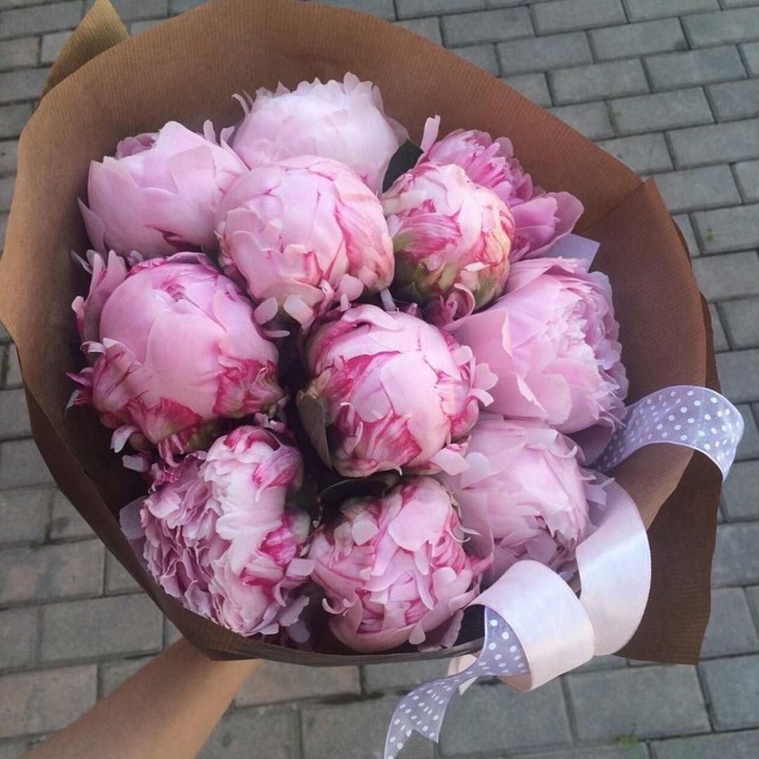 Голландские пионы букет