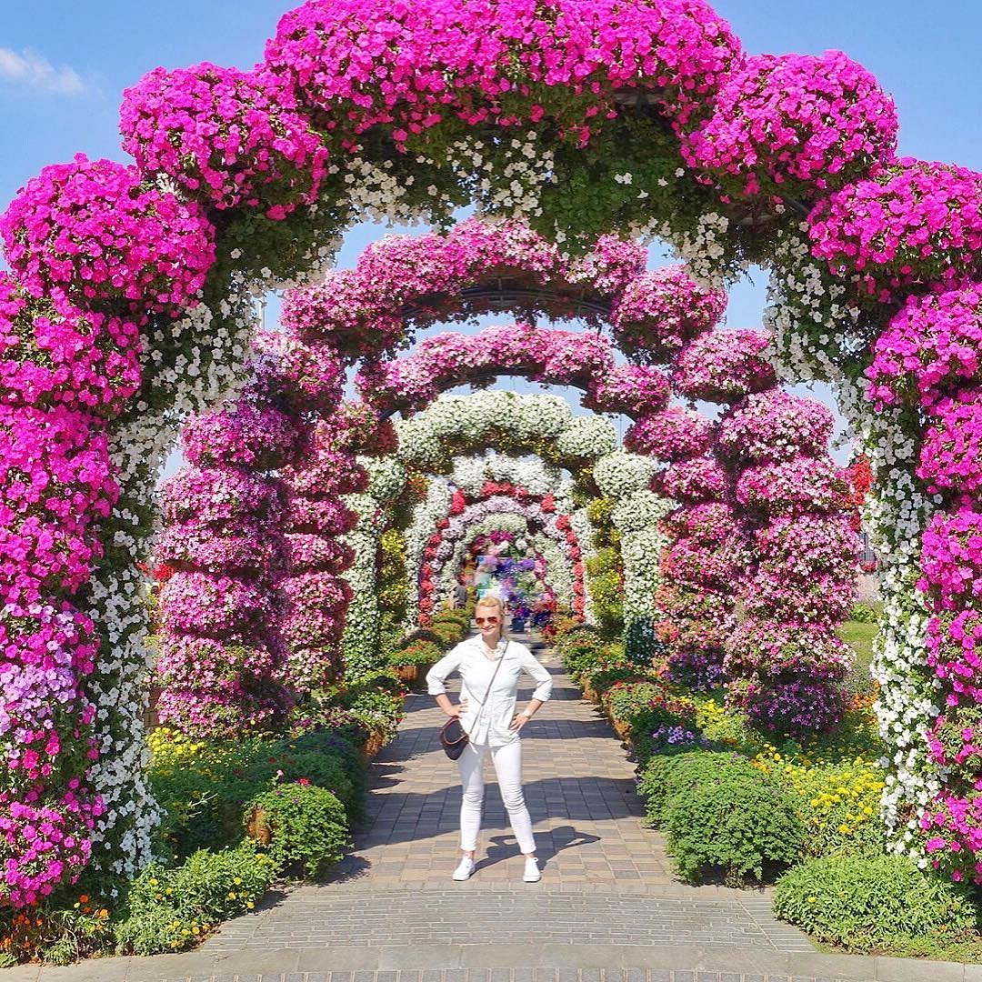 Парк цветов Dubai Miracle Garden