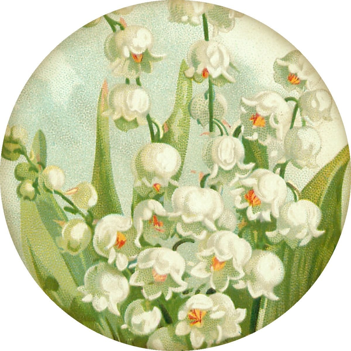 Ландыш в круге