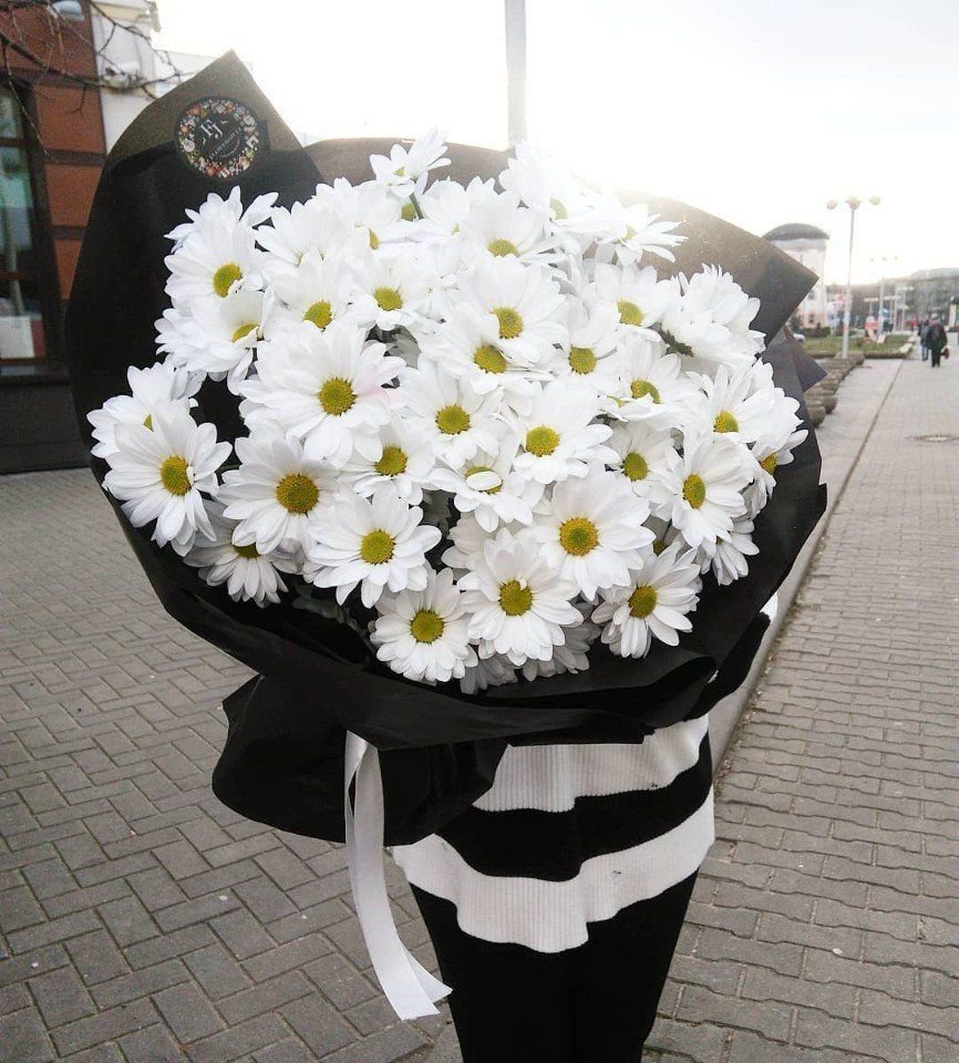 Голландские ромашки