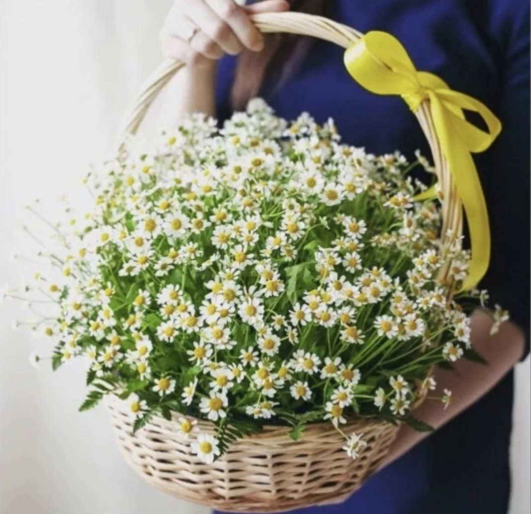 Корзинка с ромашками
