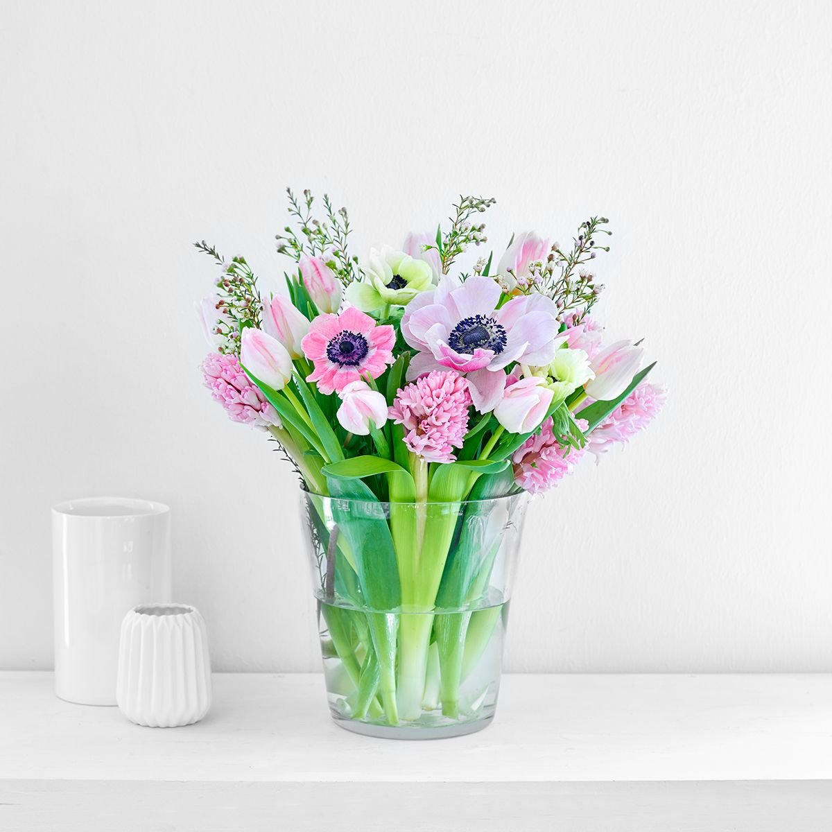 New Baby Plant Arrangements