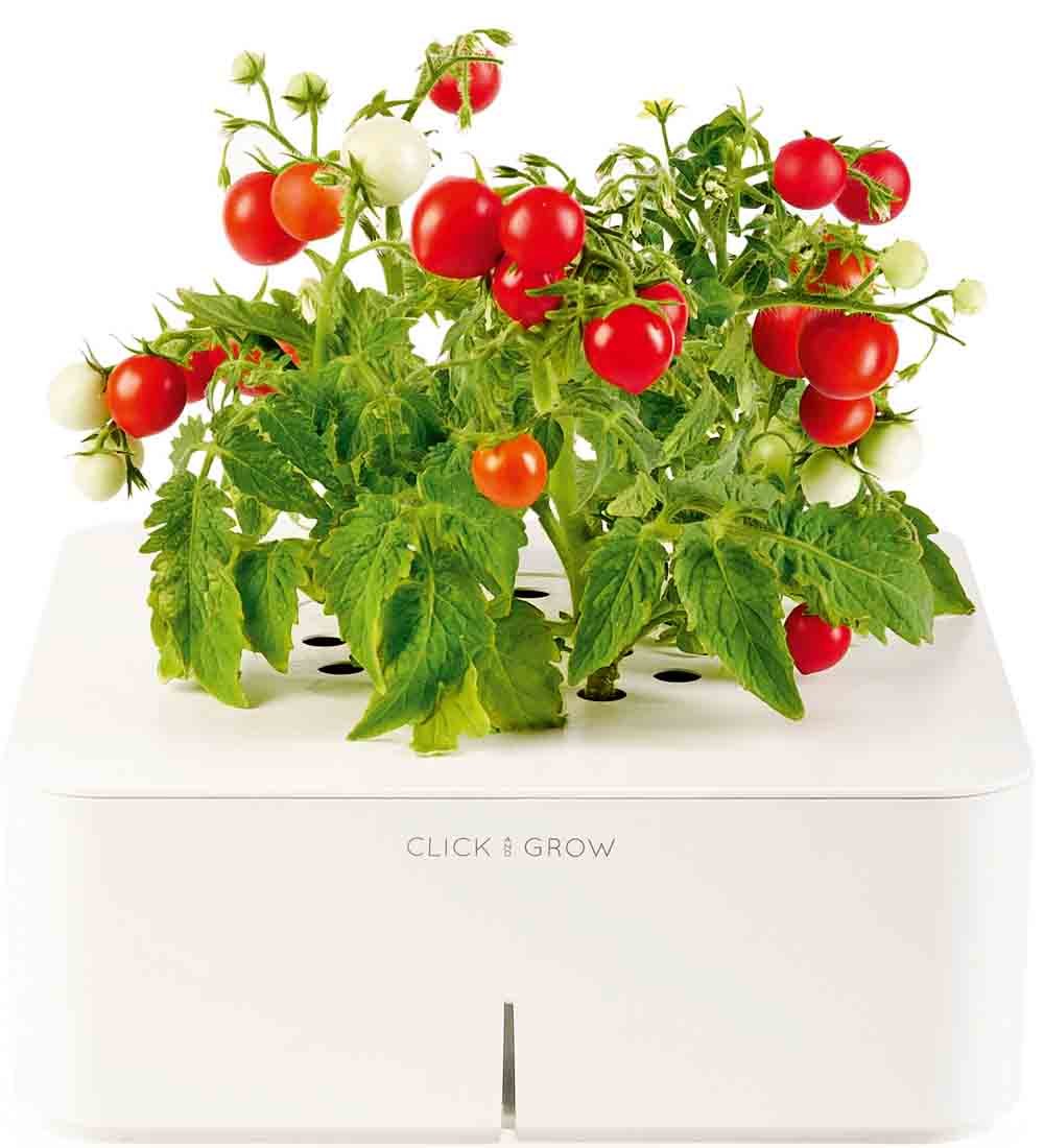Click and grow смартпот