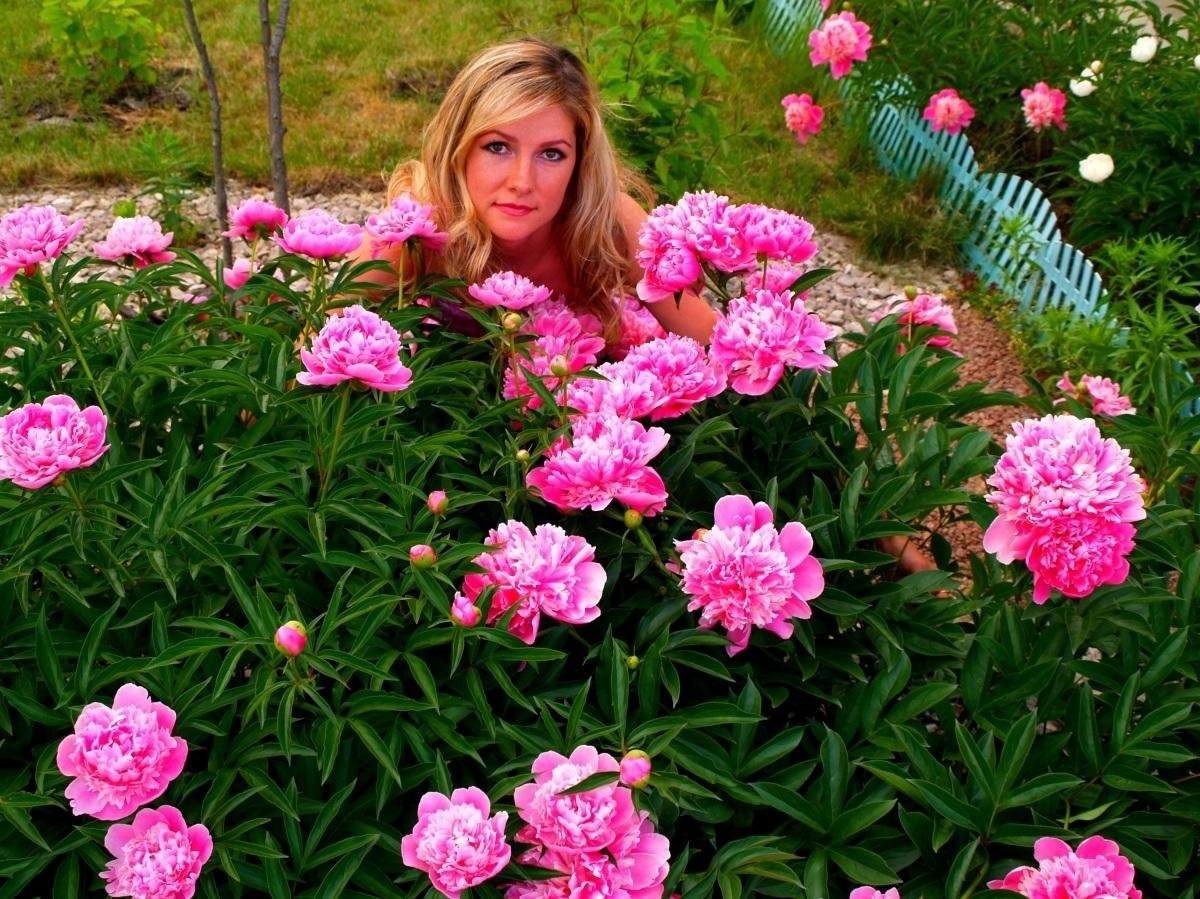 Фотосессия в кустах пионов