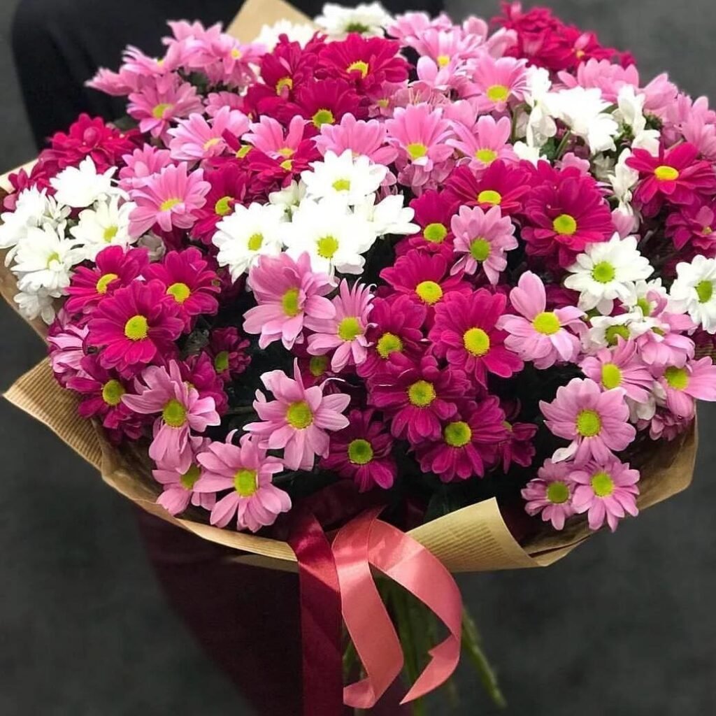 Микс хризантем с ромашками