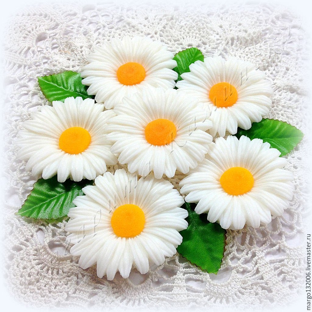 Шоколадные ромашки