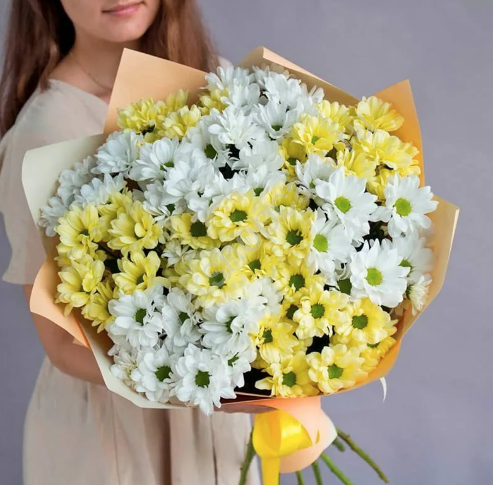 Букет из 11 кустовых хризантем
