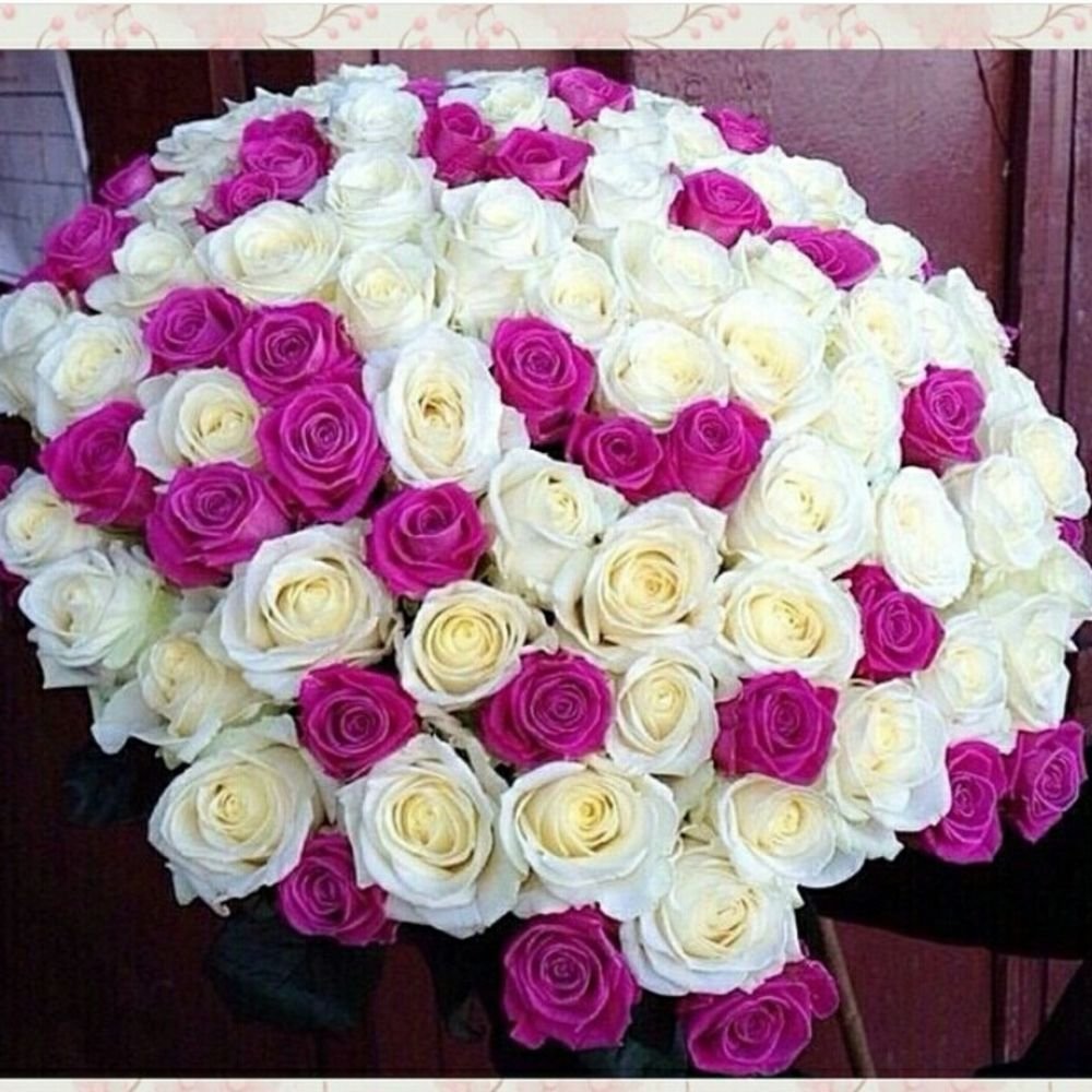 Flower Dreams Краснодар