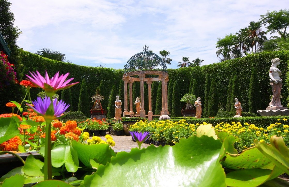 Сад цветов в тайланде