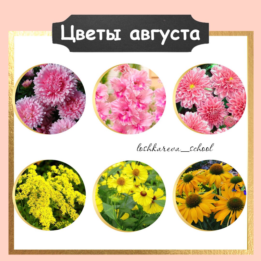 Сезонные цветы по месяцам