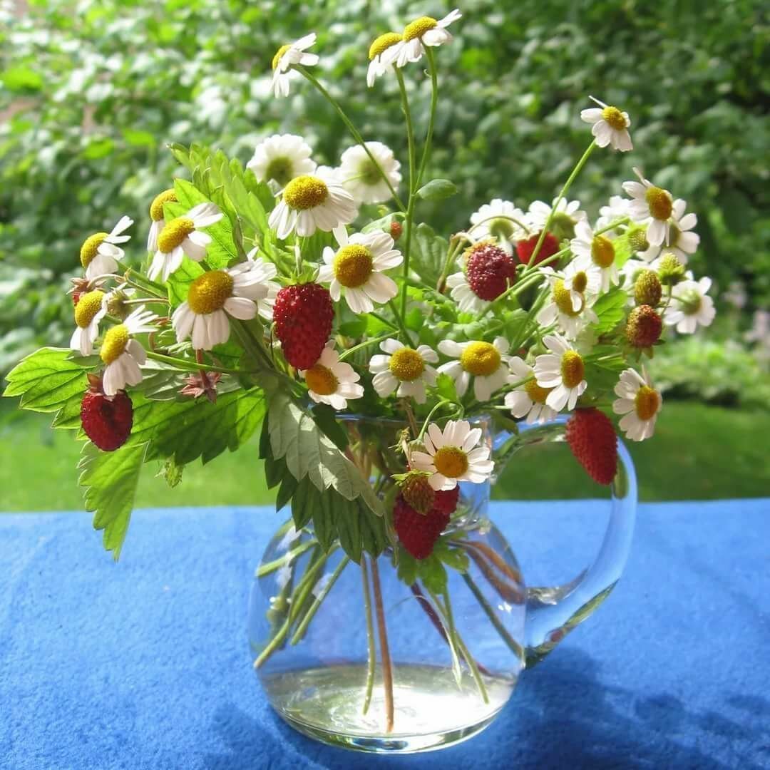 Букет земляники