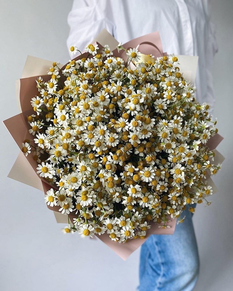 Букет кустовых ромашек