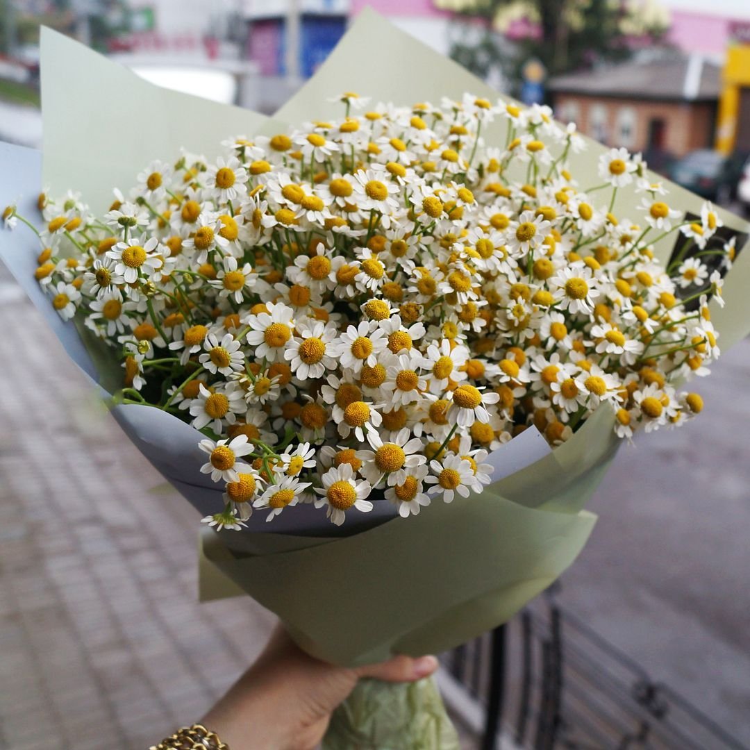 Букет из ромашек