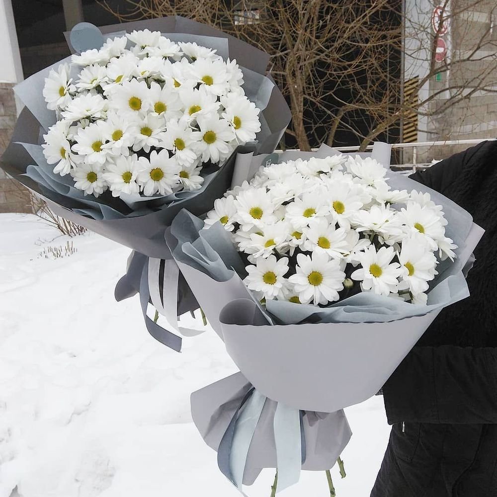 Хризантемы Ромашковые 5 веточек