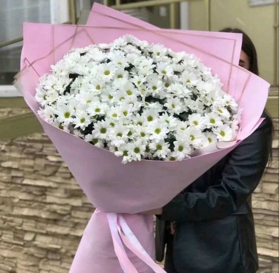 Хризантема кустовая Командор