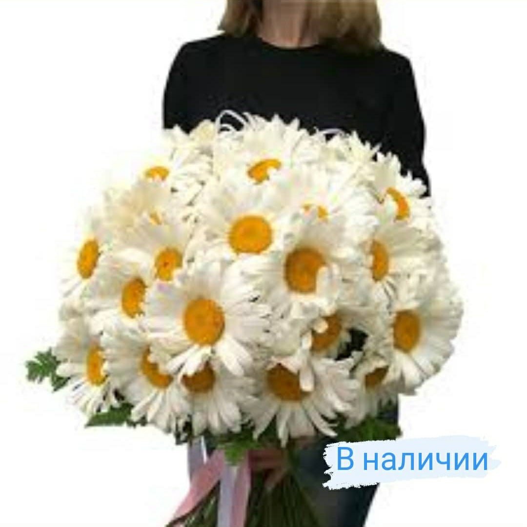 Одноголовые ромашки букет
