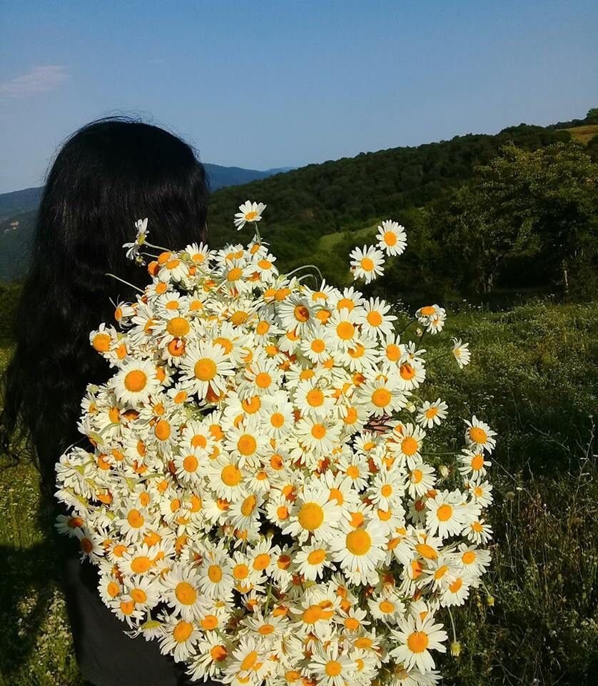 Брюнетка с ромашками