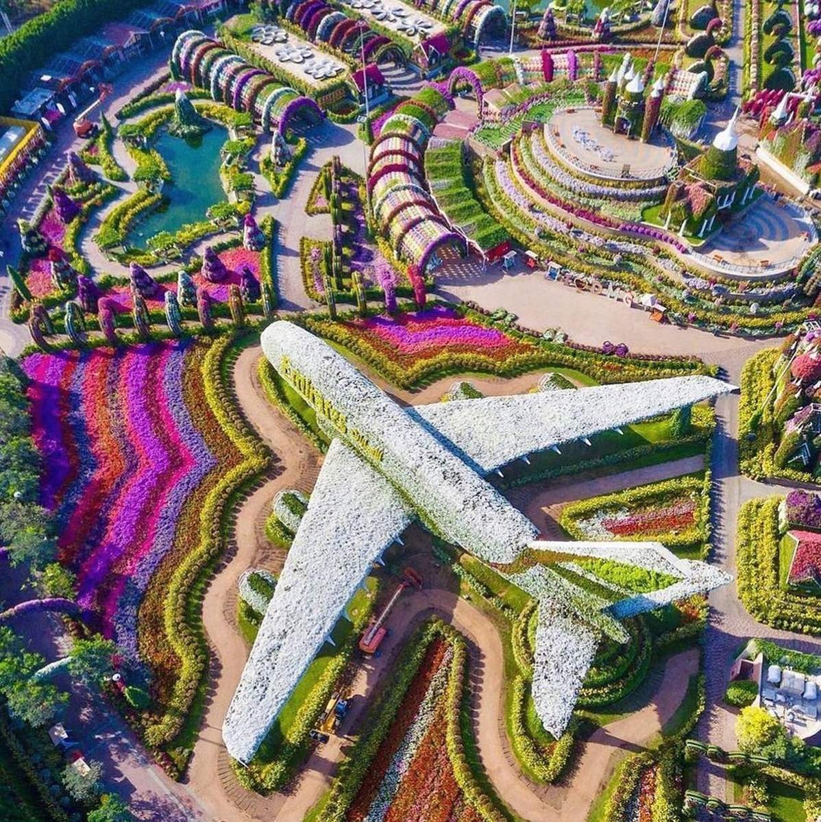 Парк цветов в Дубае Dubai Miracle Garden