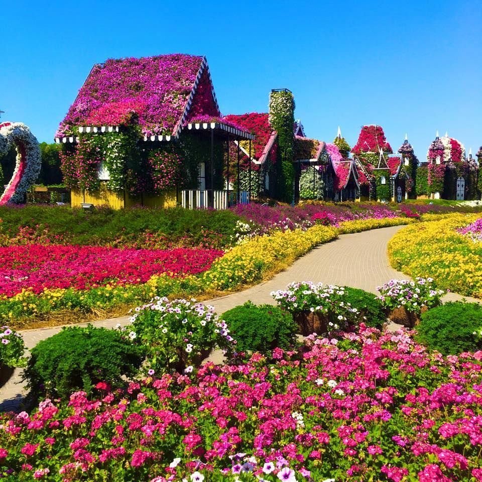 Цветочный парк Дубай Miracle Garden