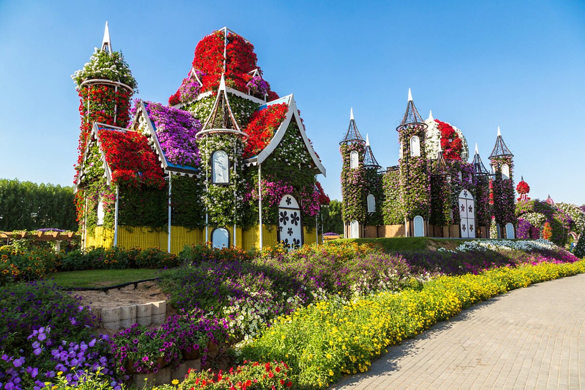 Парк Миракл Гарден Дубай