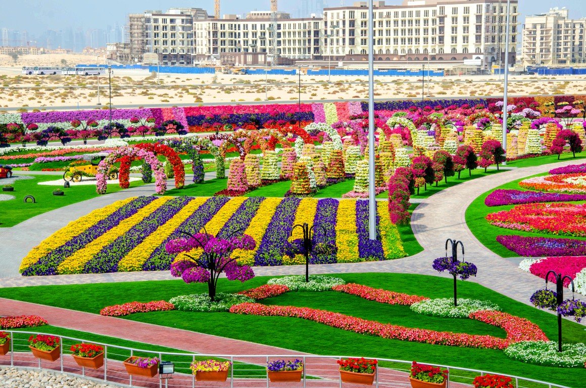Парк Миракл Гарден Дубай