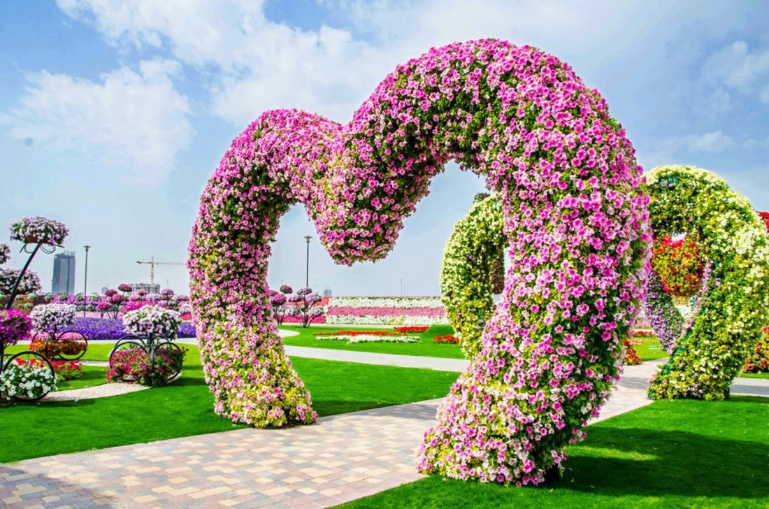 Дубай Миракл Гарден Dubai Miracle Garden
