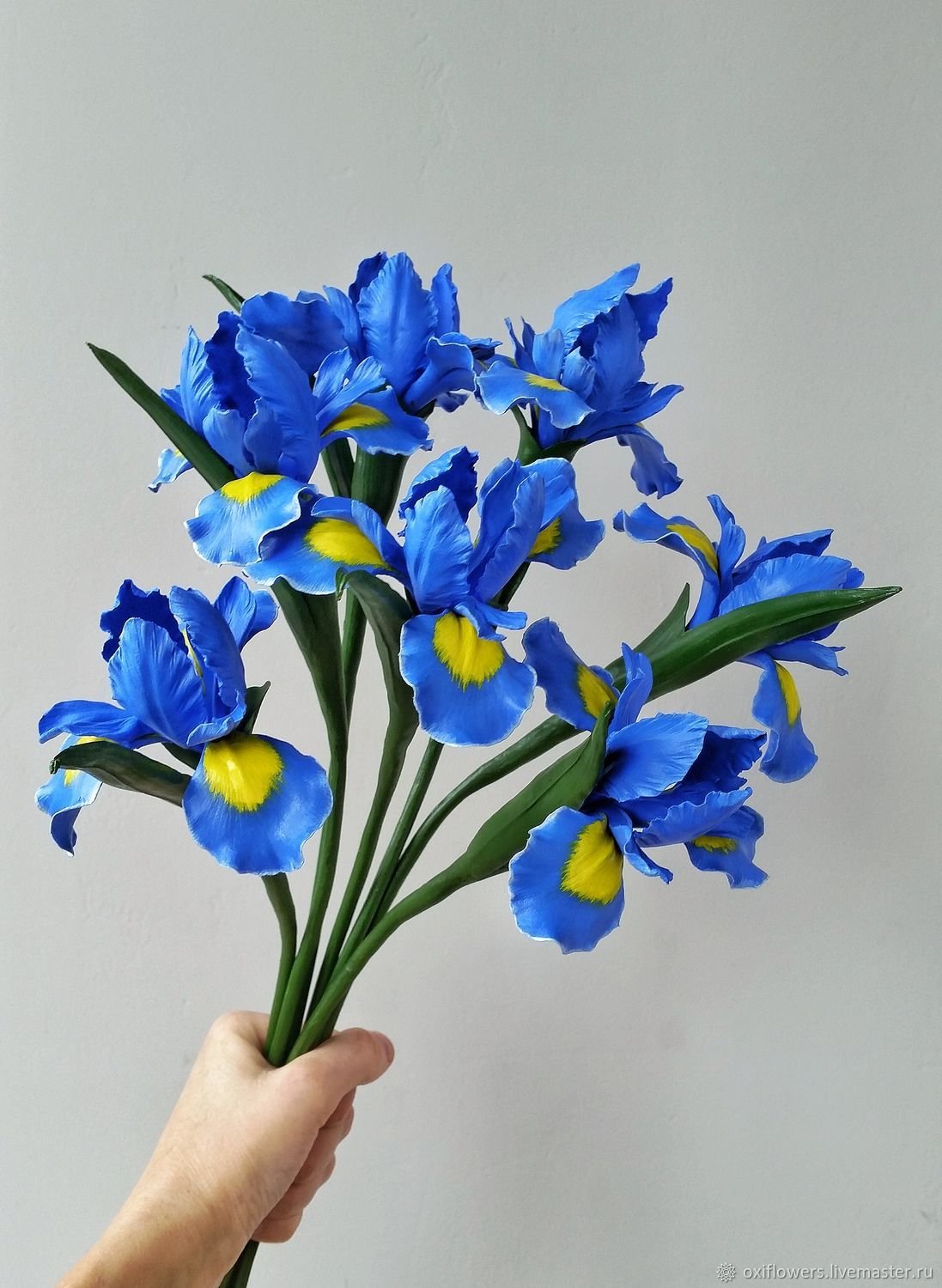 11 Ирисов